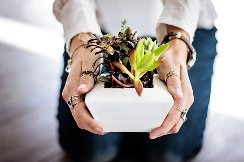 Choosing the Right Pots